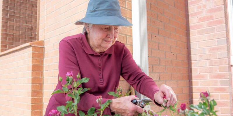 Clermont Park Senior Living Community in Denver, CO - citizenship model