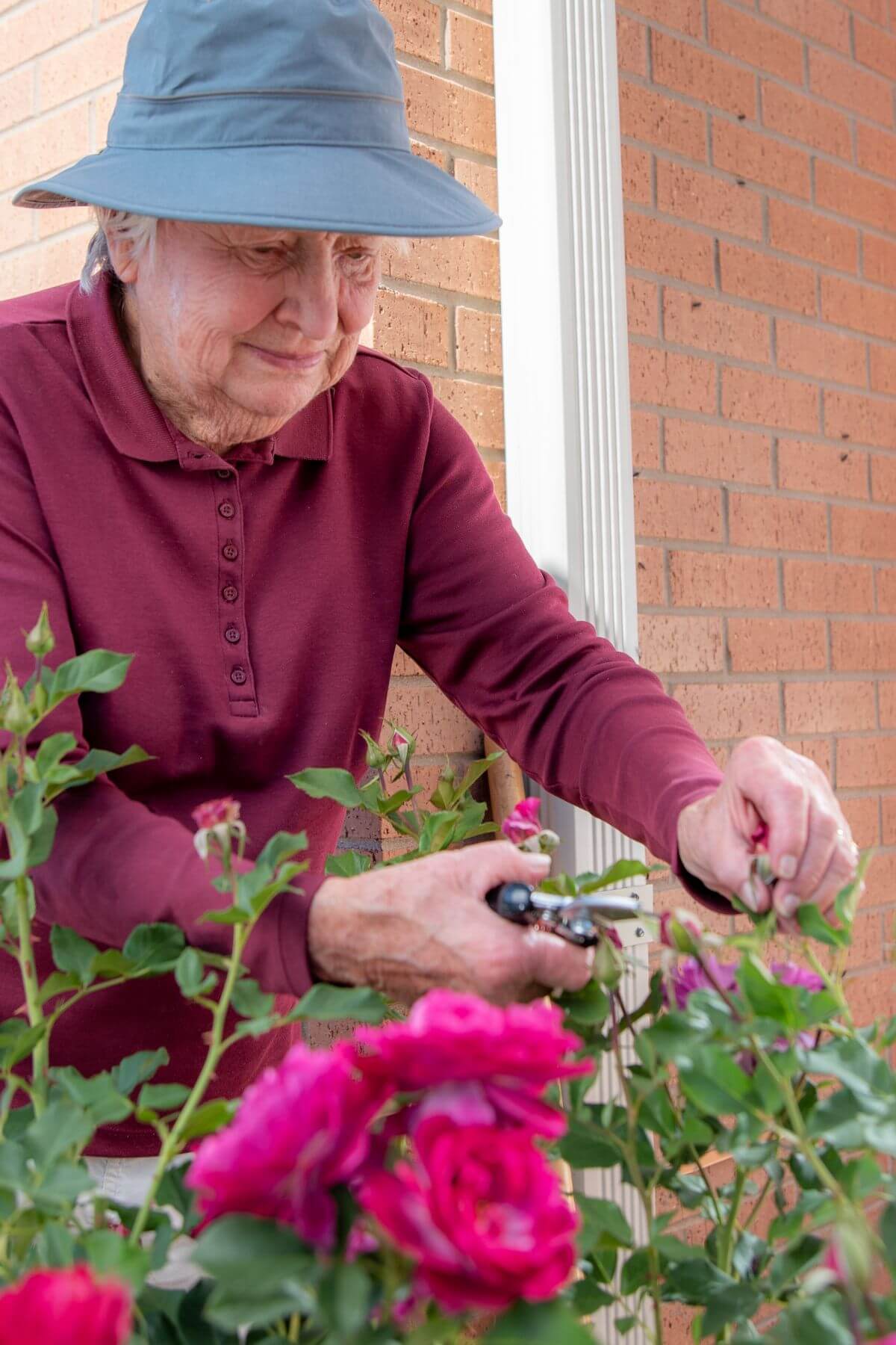 Clermont Park Senior Living Community in Denver, CO - older woman trimming rosebushes