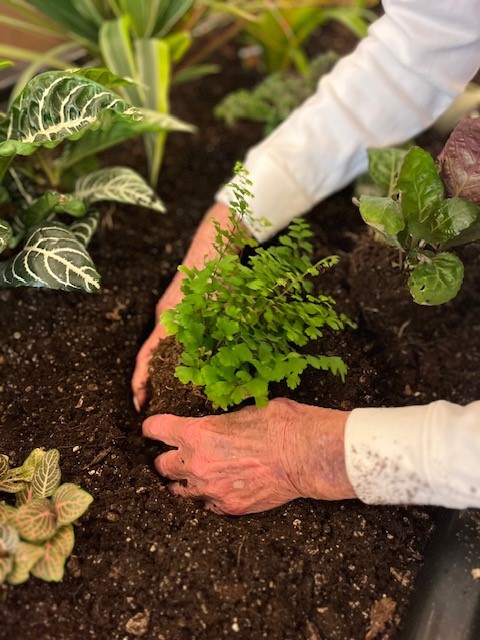 Clermont Park Senior Living Community in Denver, CO - eldergrow garden