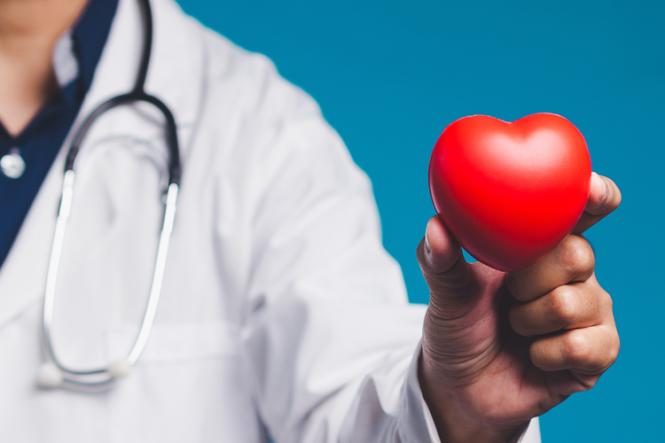 Clermont Park Senior Living Community in Denver, CO - doctor holding plastic heart