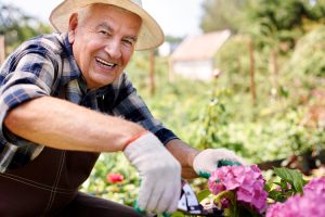 Clermont Park Senior Living Community in Denver, CO - cp pillars of wellness 3