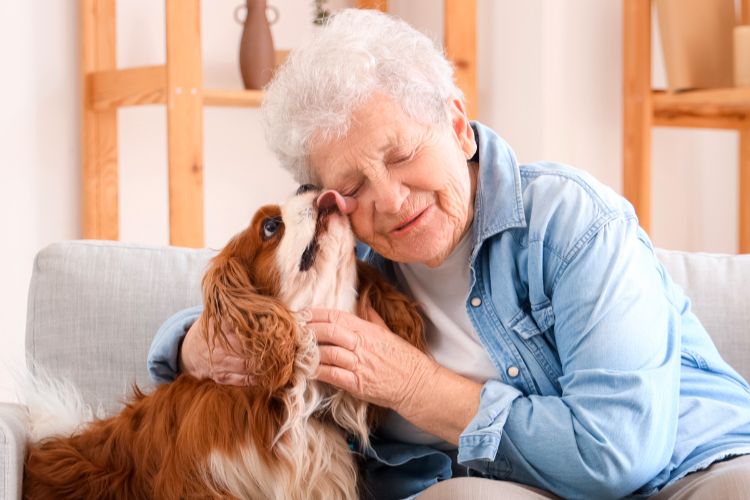 senior woman with pet dog Clermont Park Senior Living Community in Denver, CO - senior woman with pet dog